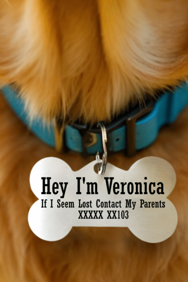 Customized Pet Tag - Bone