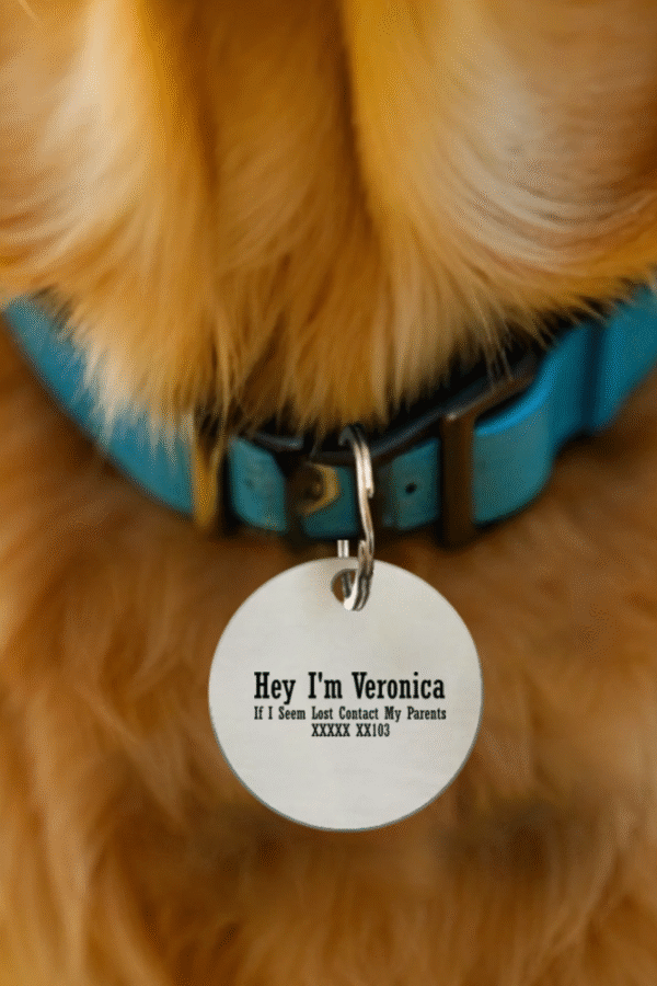 Customized Pet Tag - Circle